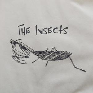 The Insects Cake Mix (Explicit)