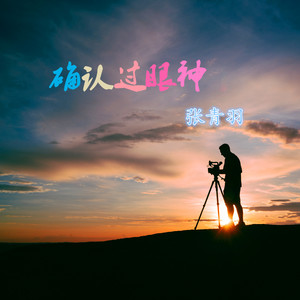 确认过眼神 我遇上对的人