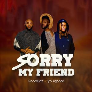 Sorry My Friend