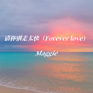 请你别走太快 (Forever love)