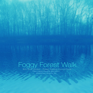 안개 숲 산책 (Fog forest walk)