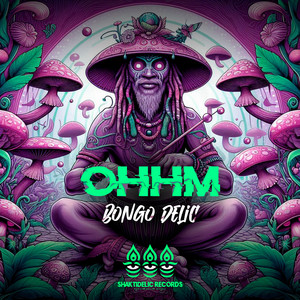 OHHM - Bongo Delic