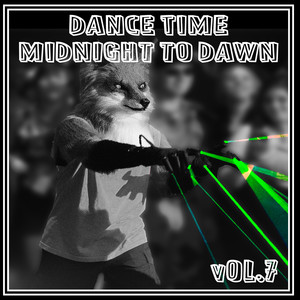 Dance Time Midnight To Dawn, Vol. 7