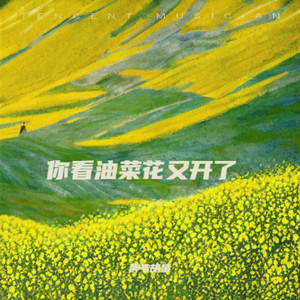 你看油菜花又开了
