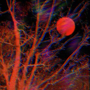 Fell In Love (feat. killfiji) (Explicit)