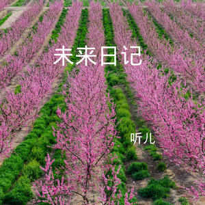 我得了一种叫做忘不掉你的病