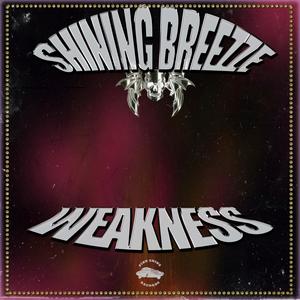 WEAKNESS (Explicit)