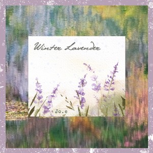 Winter Lavender