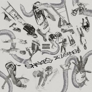 Snakes & Ladders EP (Explicit)