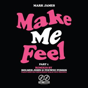 Make Me Feel (Peewee Ferris Remix)