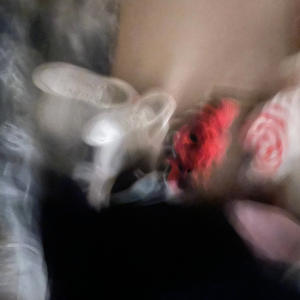 Ass Shakin 101 (Explicit)