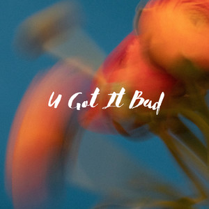 U Got It Bad