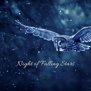 Night of Falling Stars (A Piano Voyage Through Midnight Skies)