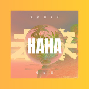 最美的谎言 (Remix)