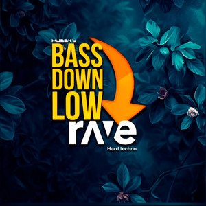 BASS DOWN LOW