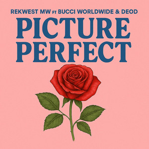 Picture Perfect (Explicit)