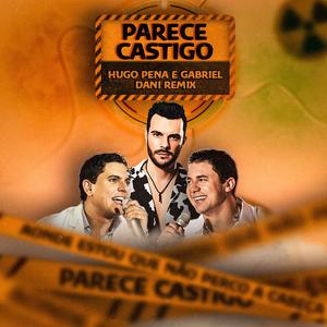 PARECE CASTIGO (DANI REMIX)