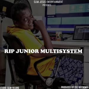 RIP JUNIOR MULTISYSTEM (feat. RISSA LINES, SHOW BOI, NIYOMPANO & BRIGHT)