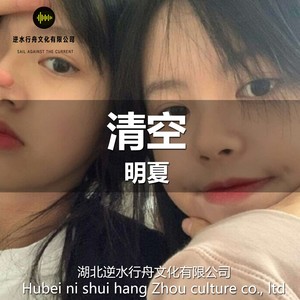 心要让你听见 (DJ版)