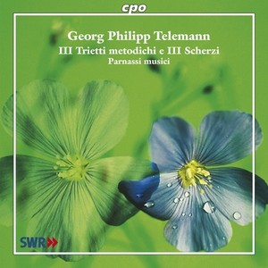 TELEMANN, G.P.: Chamber Music (Parnassi musici)