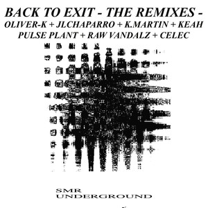 Back To Exit (Raw Vandalz Remix)