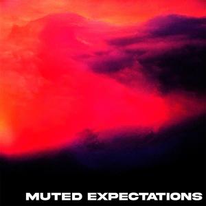 muted expectations (Explicit)