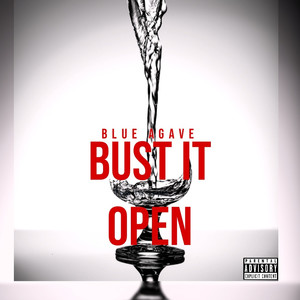 Bust It Open (Explicit)