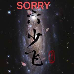 sorry (法外狂徒张三版)