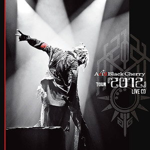 Acid Black Cherry - Fallin' Angel (TOUR 『2012』 LIVE)