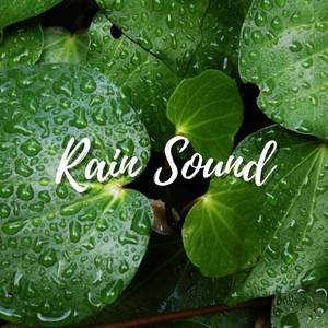 Relaxing Music with Rain Sounds for Sleeping