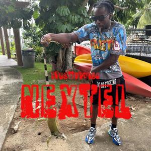 Nextel (Explicit)