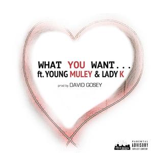 What You Want (feat. Young Muley & Lady K) [Explicit]