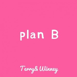 Shindy-plan B (Terryyyyy / Winney remix)