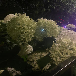 A Way Out (Explicit)