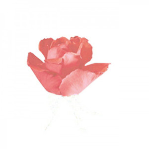 Sorry Mom (prod.by GumJ)