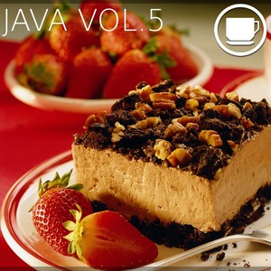 Java Vol.5