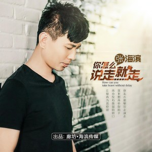 你怎么说走就走 (DJ何鹏 Remix)