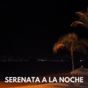 Serenata a La Noche