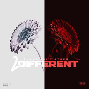 2 Different (feat. Steph) [Explicit]