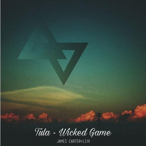 Wicked Game (James Carter & Levi Remix)