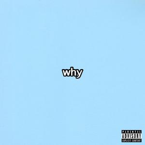 why (feat. DC $OUL) (Explicit)