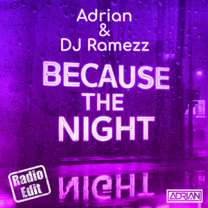 Because the Night (Radio Edit)