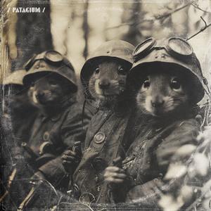The Furious Flying Ferrets of the 9th Infantry