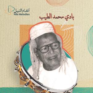 حقيبة الفن - بادي محمد الطيب