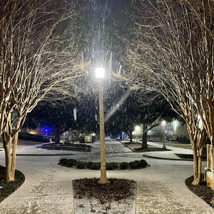 The First Noel (feat. Kaylan Walker & Ben Gregory)