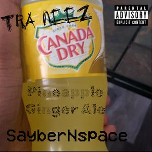 Pineapple Ginger Ale (feat. SayberNspace) [Explicit]