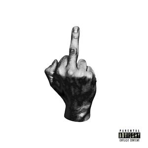 GIVE A **** (feat. Wels) (Explicit)