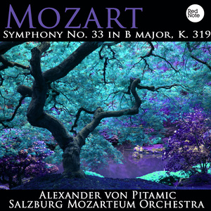 Symphony No. 33 in B major, K. 319: I. Allegro assai