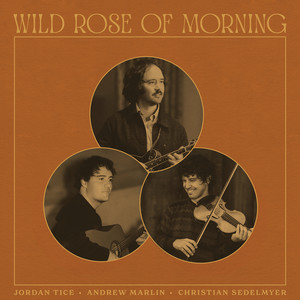 Wild Rose of Morning