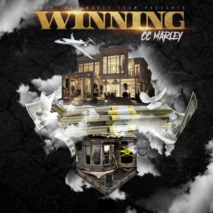 Winning (Radio Edit)